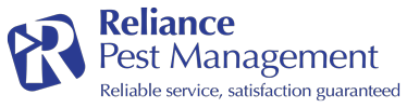 Reliance Pest Control Sydney
